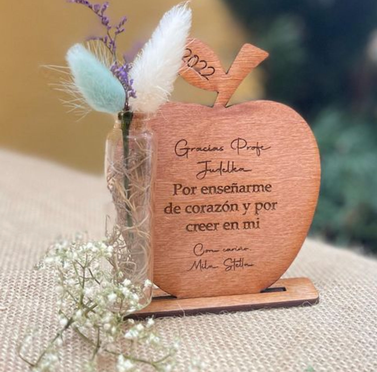 Reconocimiento Manzana