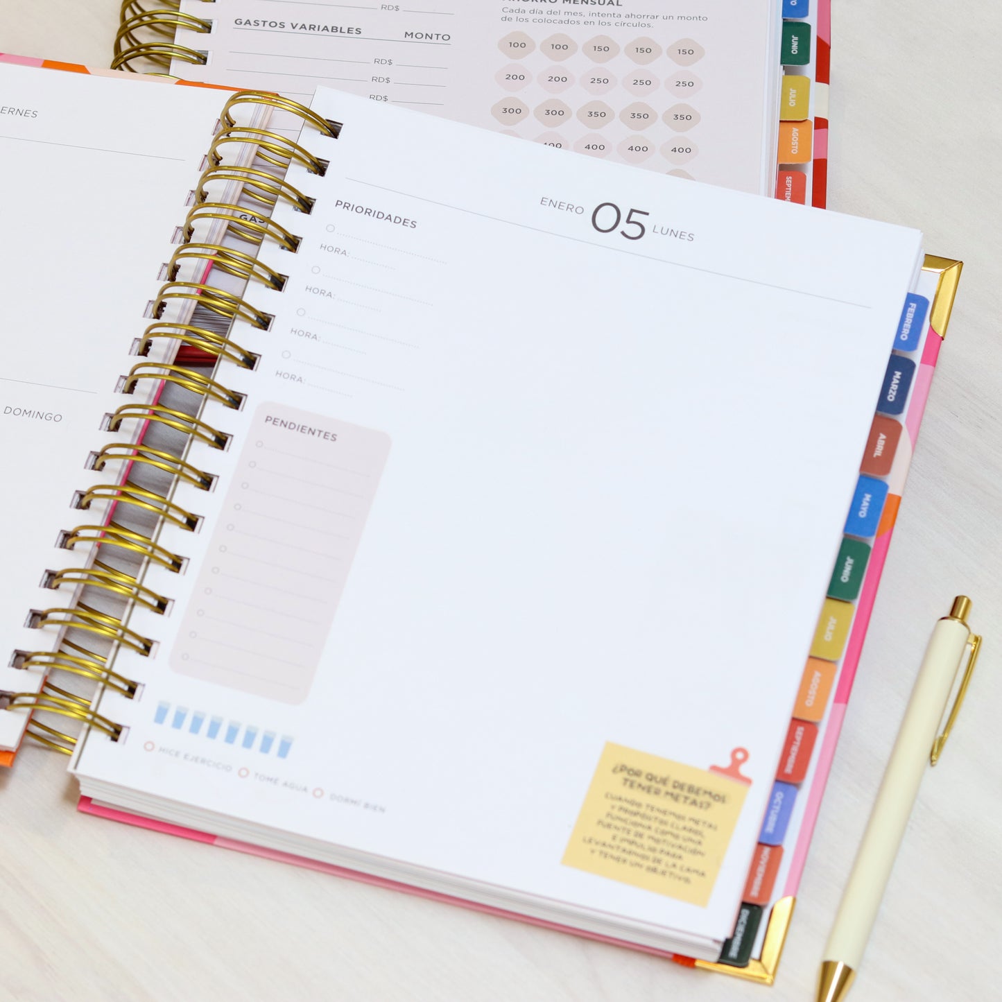 Agenda Productiva Rosada 2026