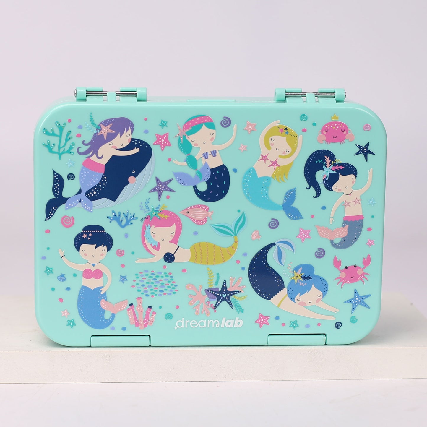 Dream Lunch Box Medium