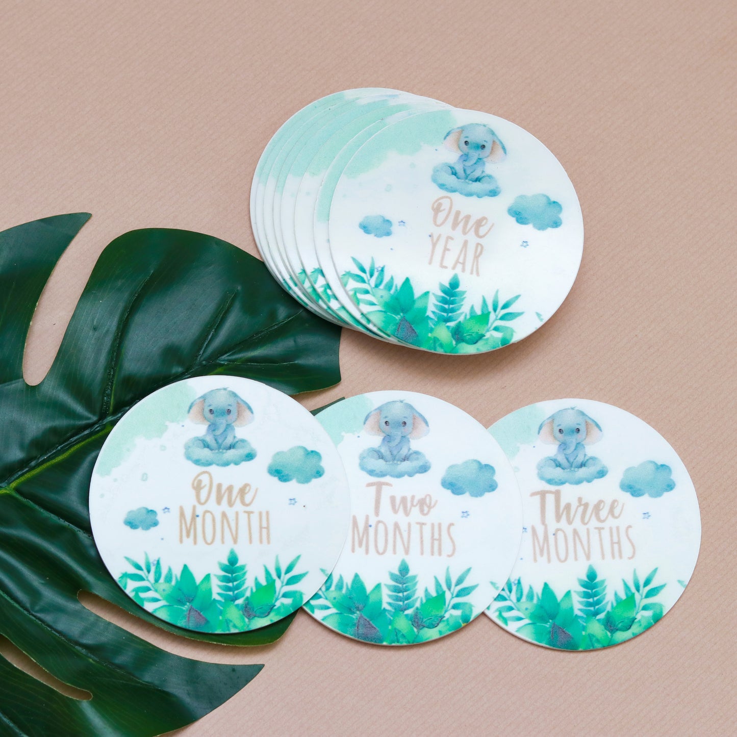 Identificador de Meses